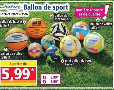 Ballon de sport