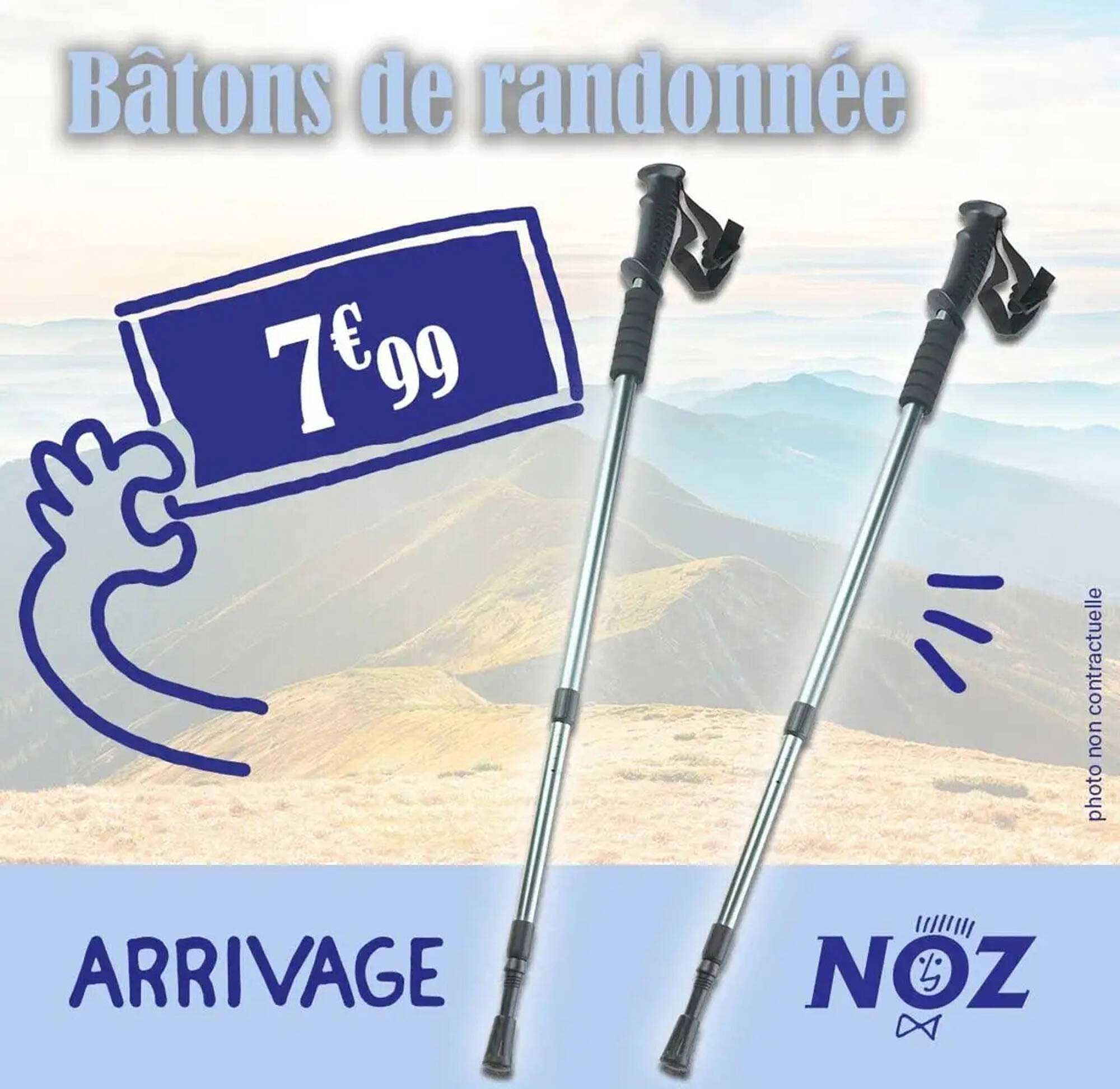 Bâtons de randonnée