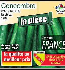 Concombre