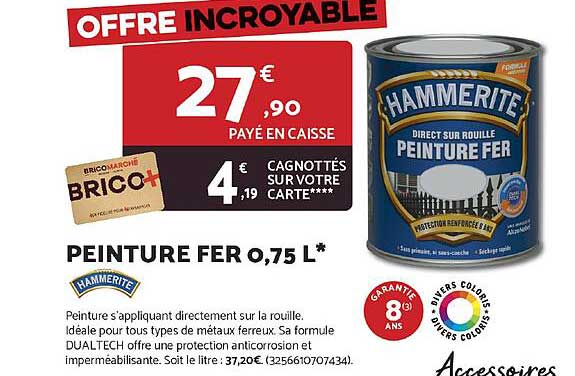 PEINTURE FER 0,75 L*
