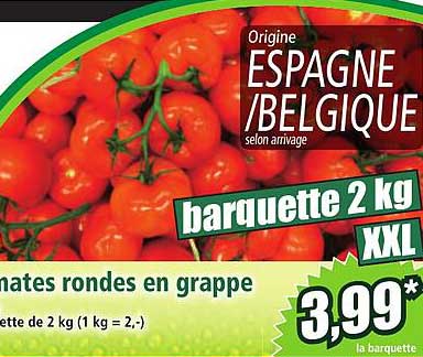Tomates rondes en grappe XXL