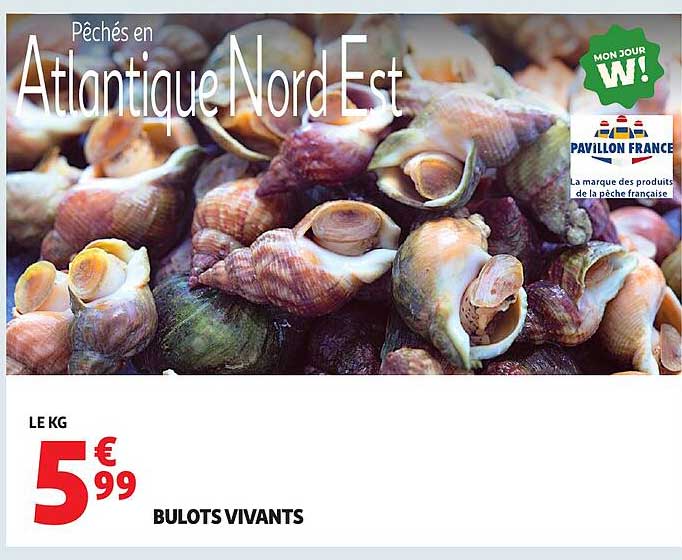 BULOTS VIVANTS