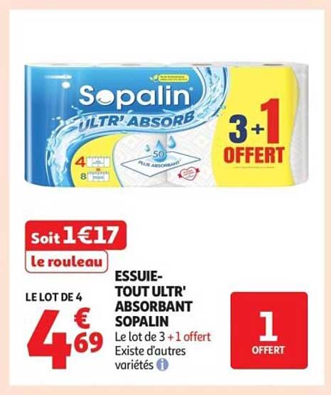 ESSUIE-TOUT ULTR' ABSORBANT SOPALIN