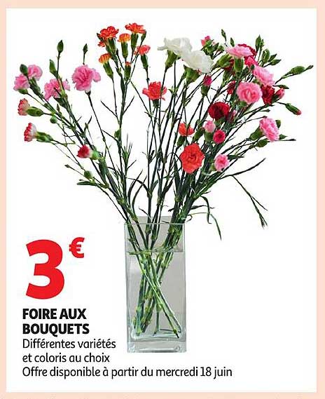 FOIRE AUX BOUQUETS