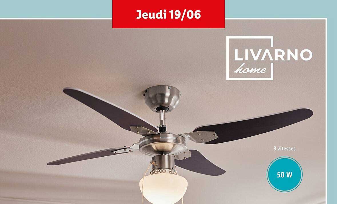 LIVARNO home Ventilateur de plafond 50 W