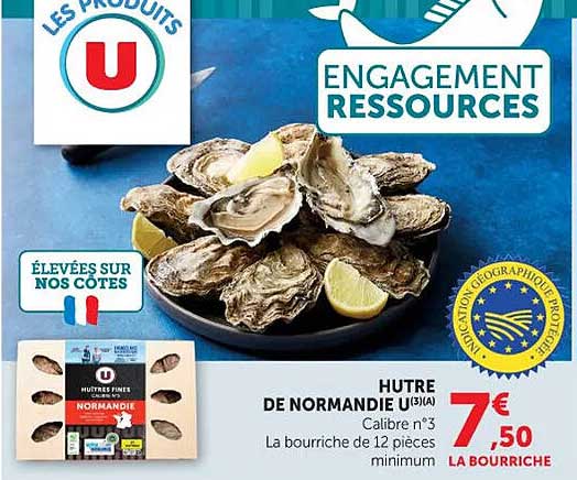 HUITRE DE NORMANDIE U(3)A
