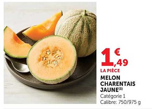 MELON CHARENTAIS JAUNE(3)