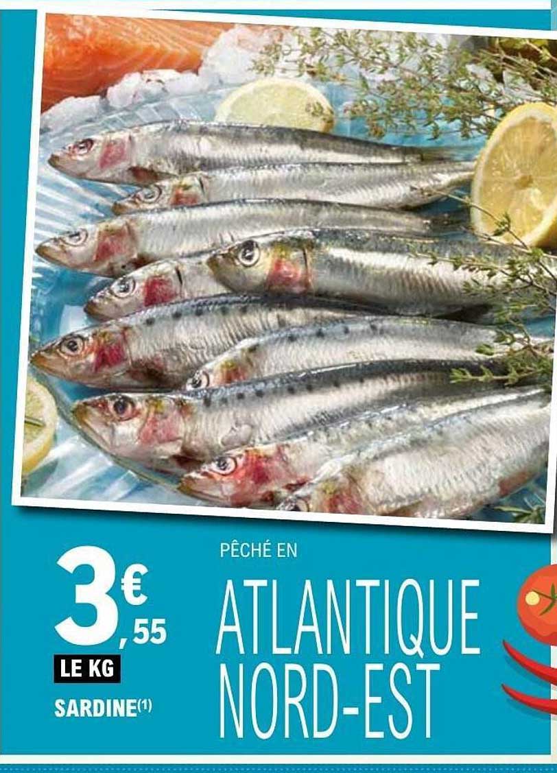 PÊCHÉ EN ATLANTIQUE NORD-EST