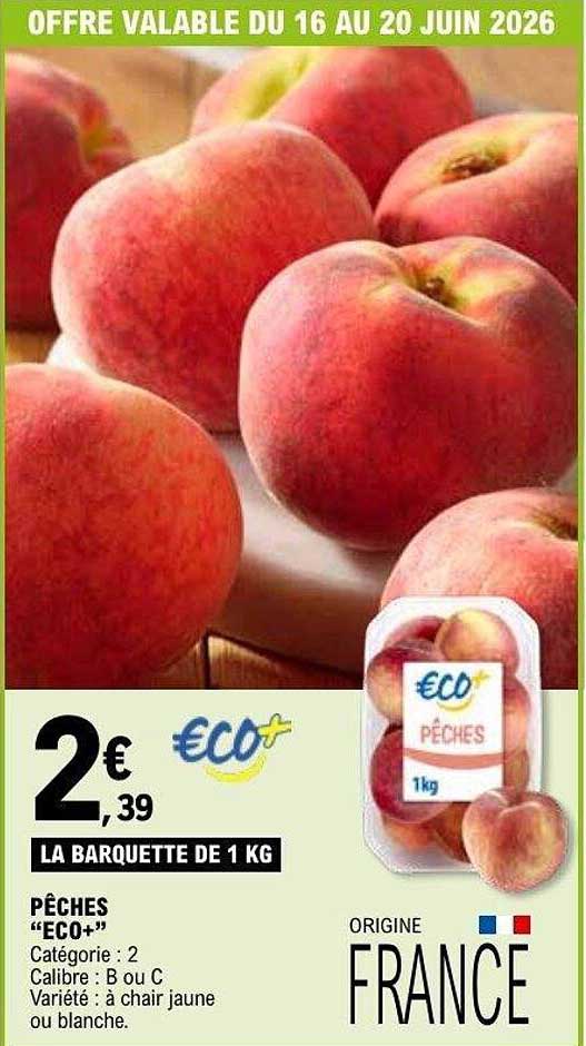 PÊCHES "ECO+"