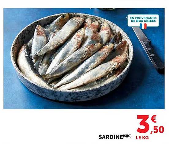 SARDINE(5)(C)