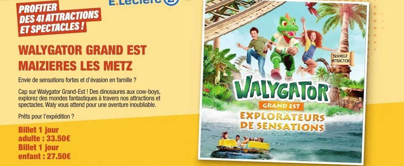 WALYGATOR GRAND EST MAIZIERES LES METZ