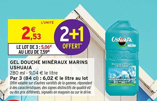 2+1 OFFERT*