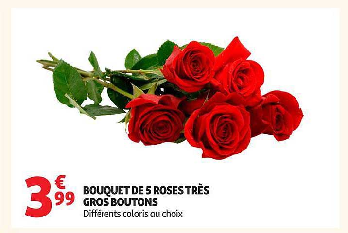 BOUQUET DE 5 ROSES TRÈS GROS BOUTONS