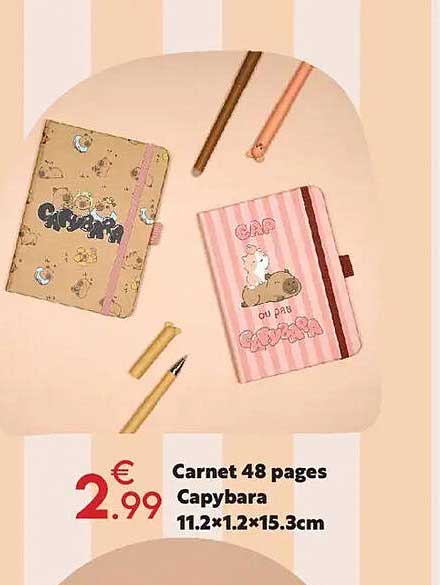 Carnet 48 pages Capybara 11.2×1.2×15.3cm