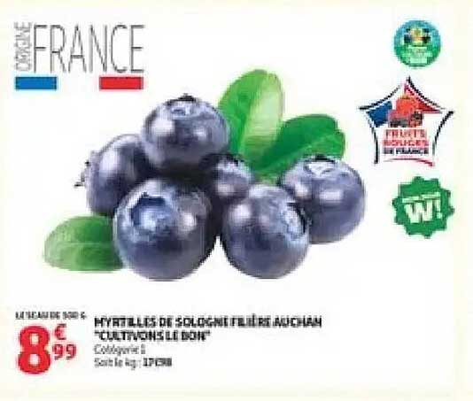 MYRTILLES DE SOLIGNY FRUITS MOYUAN CULTIVÉES LE D.O.P.