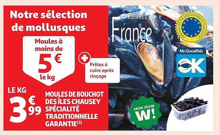 Notre sélection de mollusques