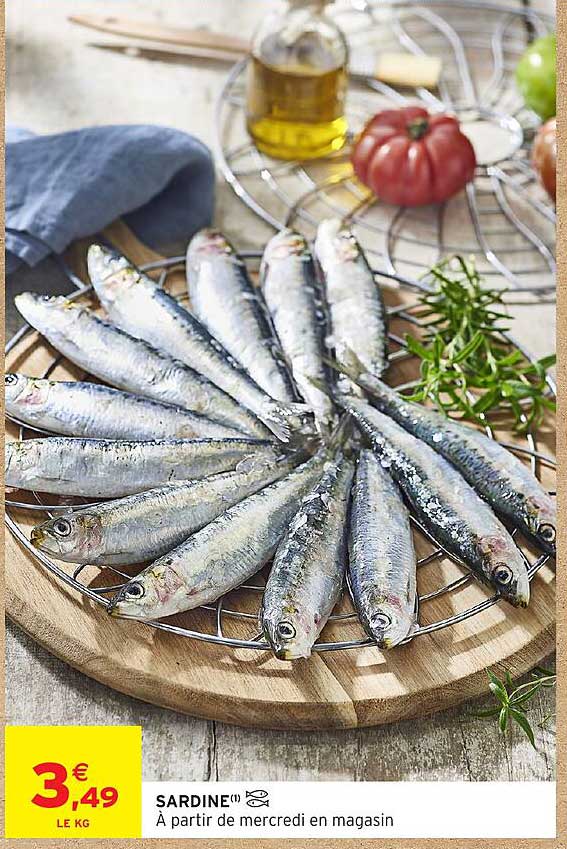 SARDINE