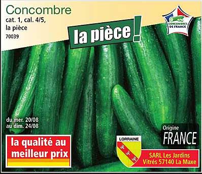Concombre cat. 1, cal. 4/5, la pièce