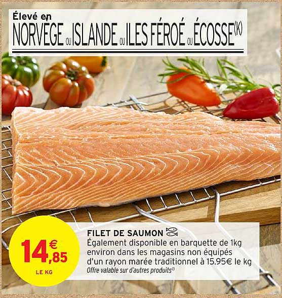 FILET DE SAUMON