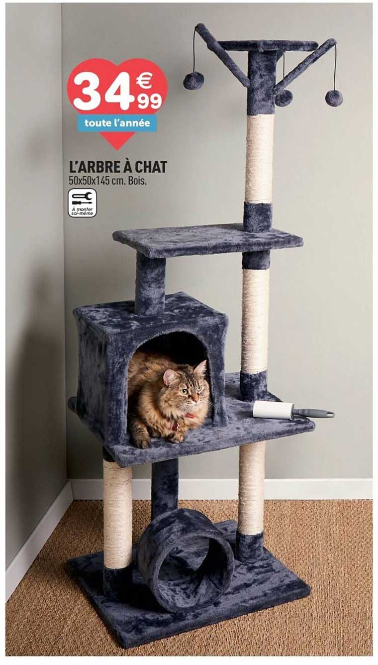 L’ARBRE À CHAT