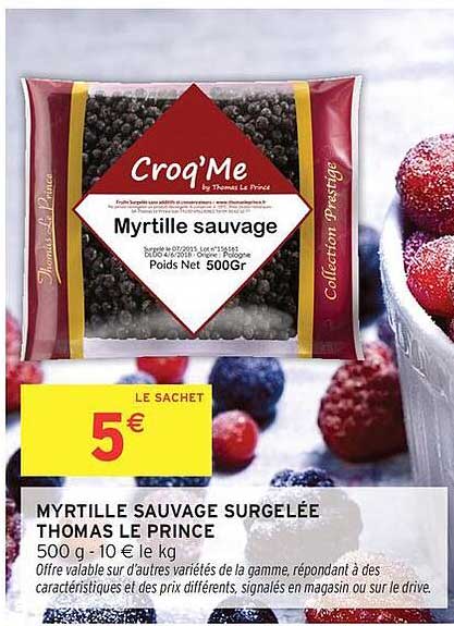 Myrtille sauvage