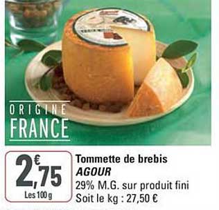 Tommette de brebis AGOUR