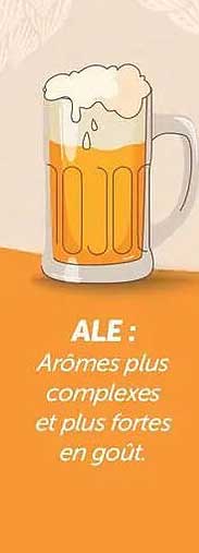 ALE : Arômes plus complexes et plus fortes en goût.