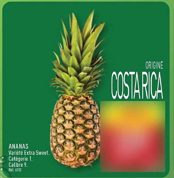 ANANAS Variété Extra Sweet. Catégorie 1. Calibre 9. Réf. 6112