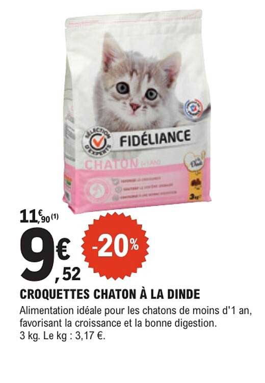 CROQUETTES CHATON À LA DINDE