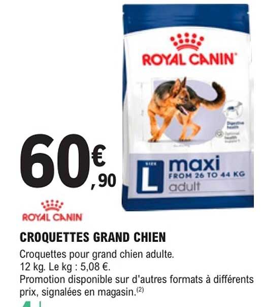 CROQUETTES GRAND CHIEN