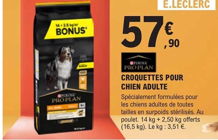 CROQUETTES POUR CHIEN ADULTE