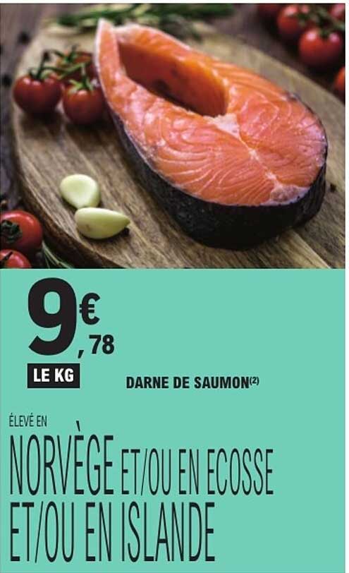 DARNE DE SAUMON
