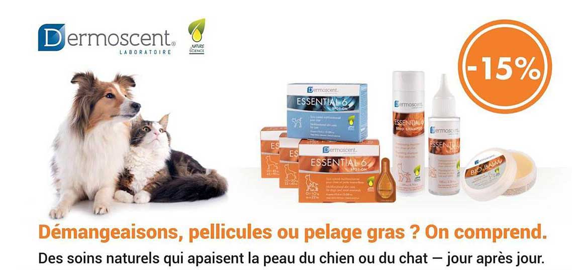 Démangeaisons, pellicules ou pelage gras ? On comprend.