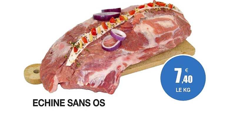 ECHINE SANS OS
