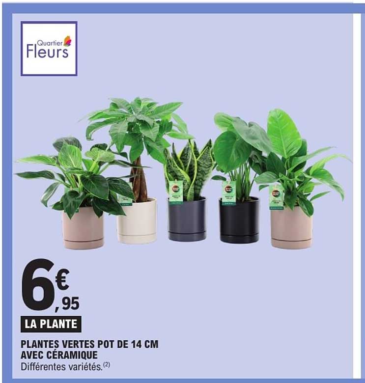 LA PLANTE