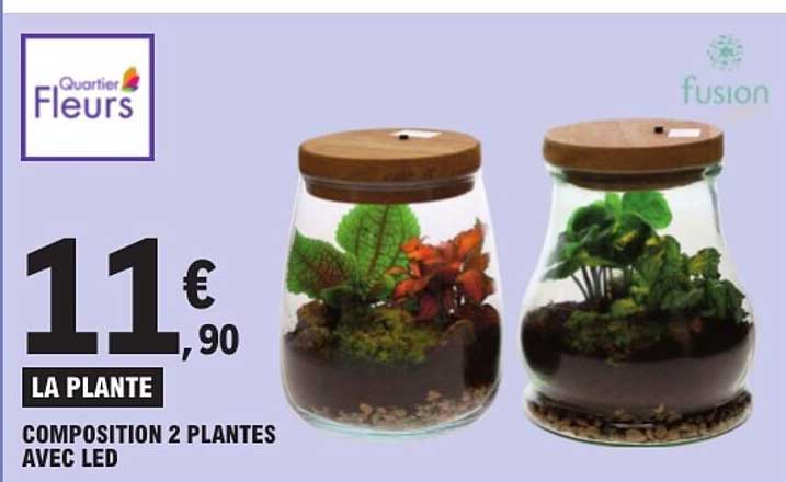 LA PLANTE COMPOSITION 2 PLANTES AVEC LED