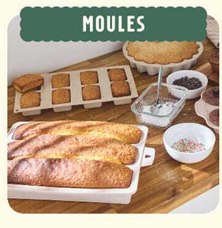 MOULES
