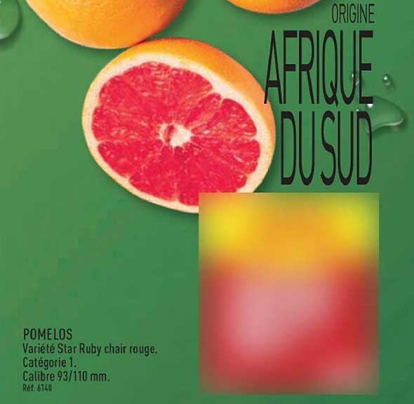 ORIGINE AFRIQUE DU SUD