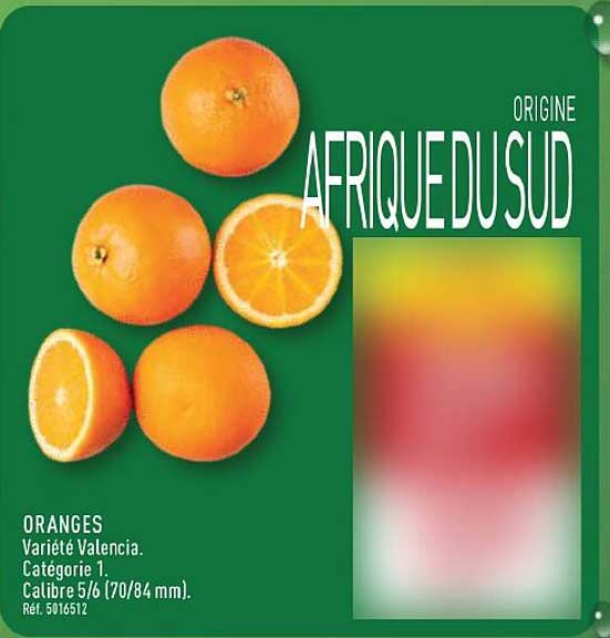 ORIGINE AFRIQUE DU SUD