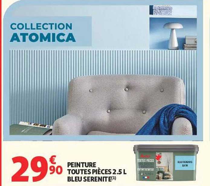 PEINTURE TOUTES PIECES 2,5 L BLEU SERENITE(1)