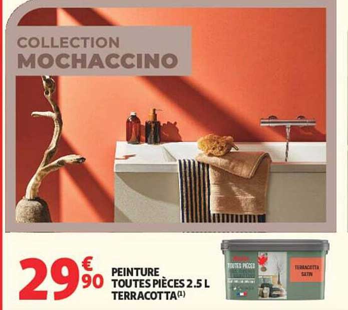 PEINTURE TOUTES PIÈCES 2.5 L TERRACOTTA(1)
