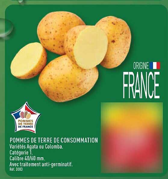 POMMES DE TERRE DE CONSOMMATION