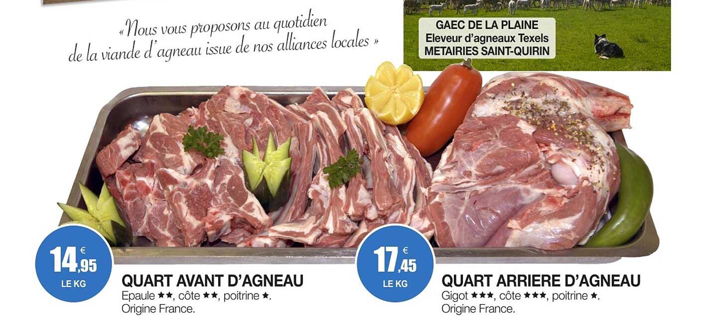 QUART AVANT D’AGNEAU