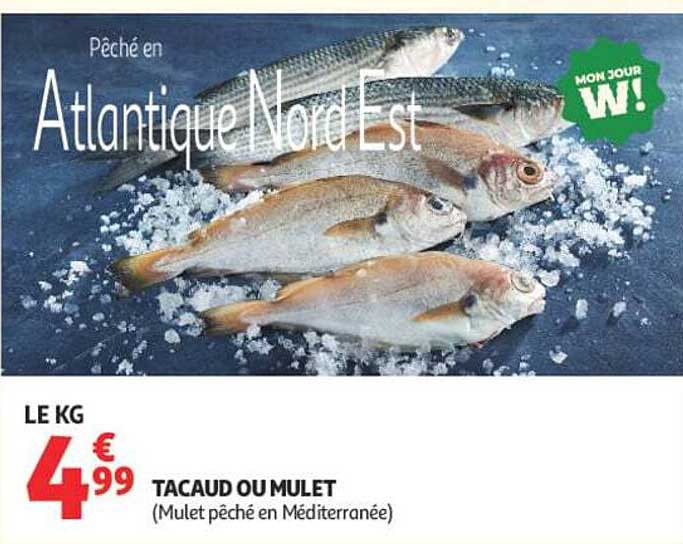 TACAUD OU MULET (Mulet pêché en Méditerranée)