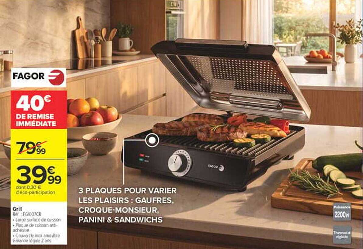 3 PLAQUES POUR VARIER LES PLAISIRS : GAUFRES, CROQUE-MONSIEUR, PANINI & SANDWICHS