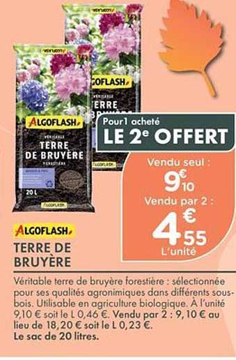 ALGOfLASH, TERRE DE BRUYÈRE