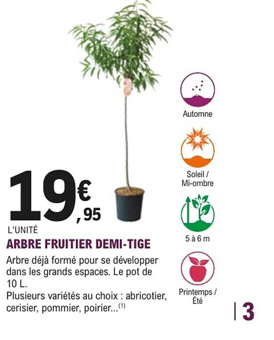 ARBRE FRUITIER DEMI-TIGE