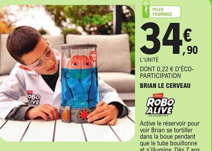 BRIAN LE CERVEAU