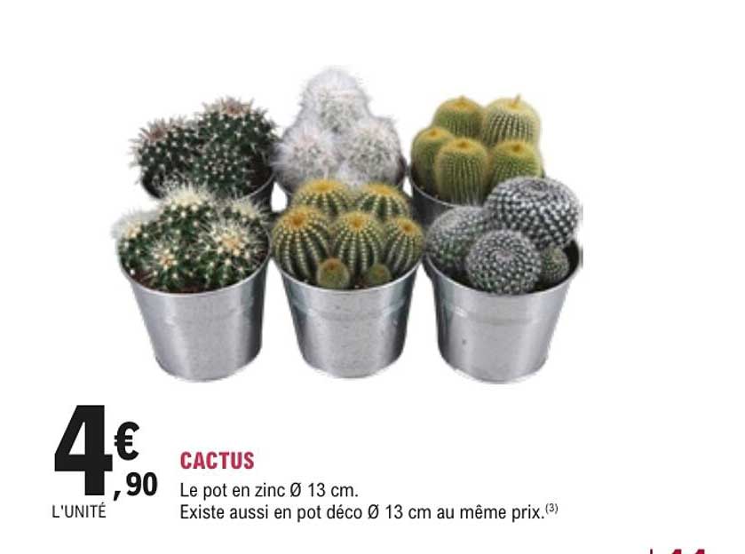 CACTUS