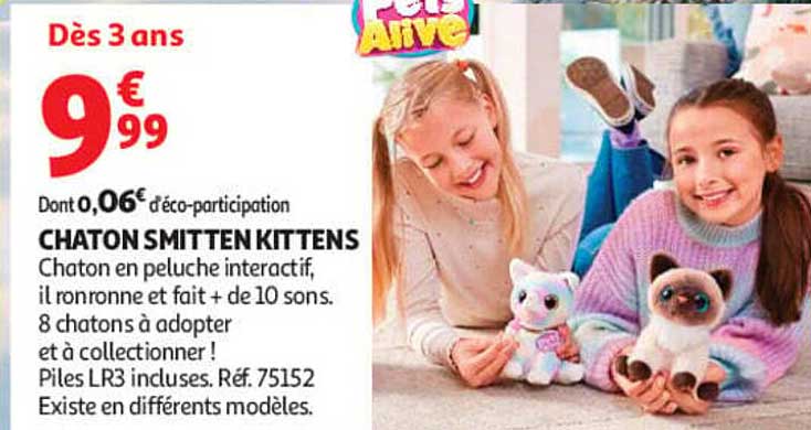 CHATON SMITTEN KITTENS